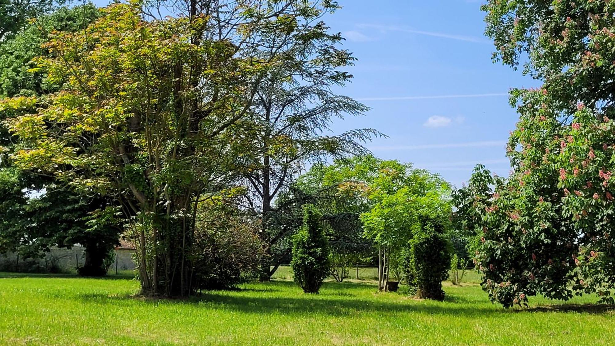 Villa Saint Pierre La Trimouille Esterno foto