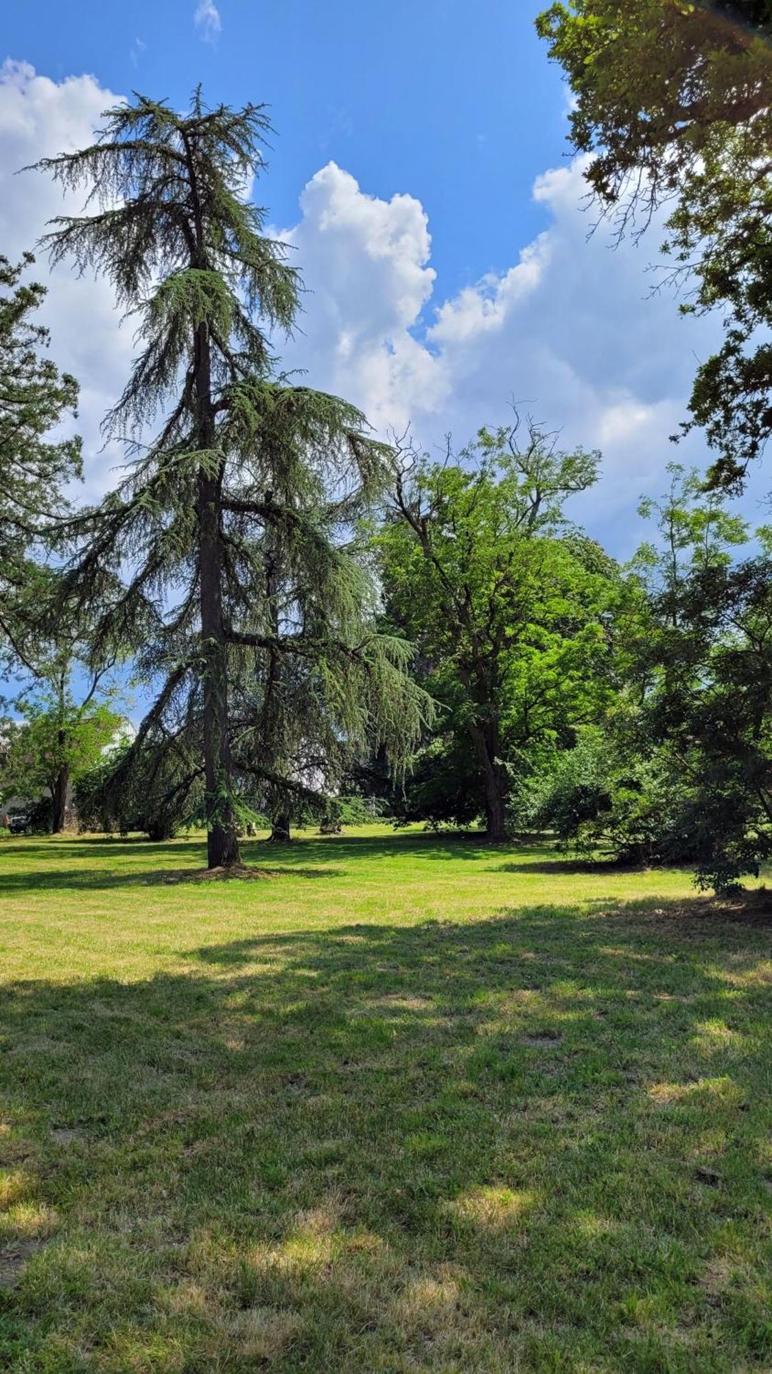 Villa Saint Pierre La Trimouille Esterno foto
